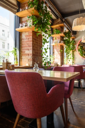 картинка Полукресло Дион от компании CORSASTYLE